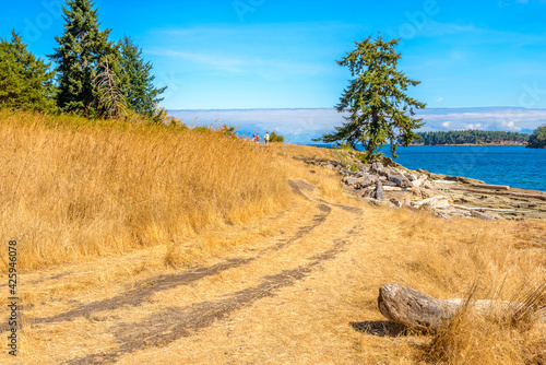 Fragment of lake view trail in Drumbeg park, Nanaimo, British Columbia, Canada. photo