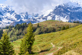 Crossing the Alps. Hiking trail in the Alps.