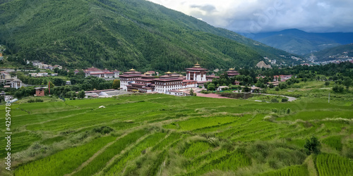 Paddy field in the capital city of Bhutan