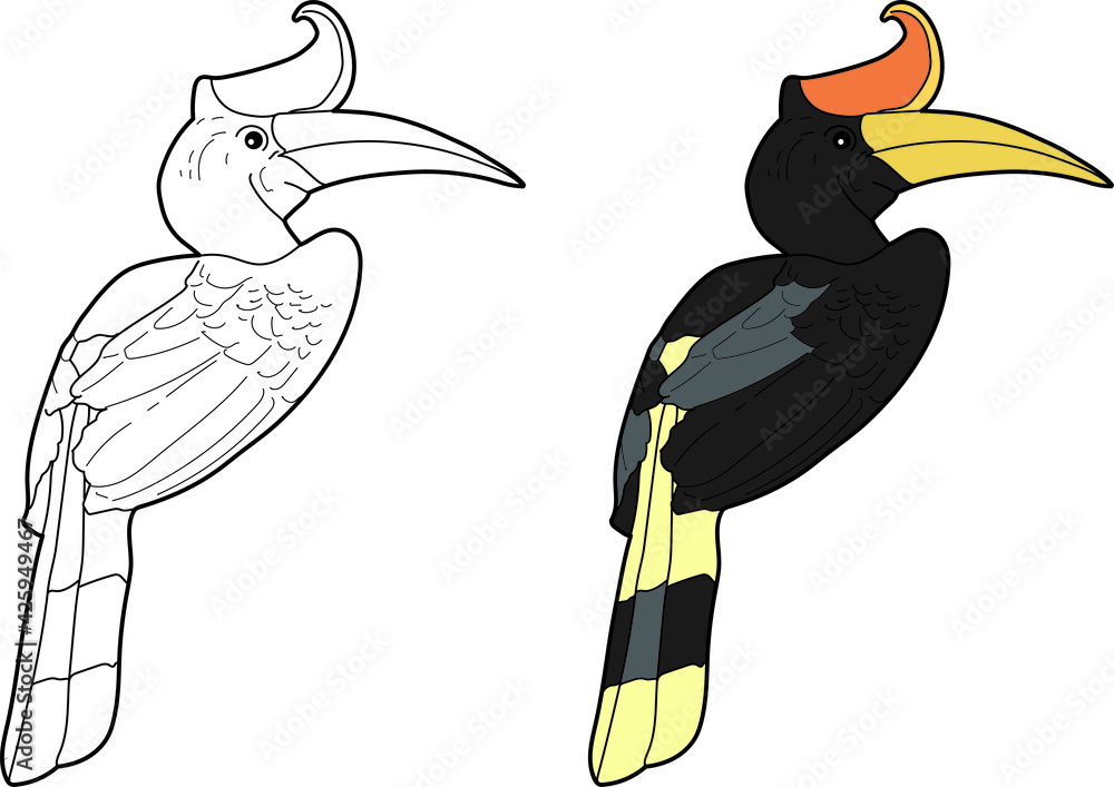 95 Koleksi Gambar Burung Kenyalang Kartun Terbaik