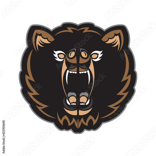 Colored face of a bear. Good for t-shirts and prints. Isolated. Vector