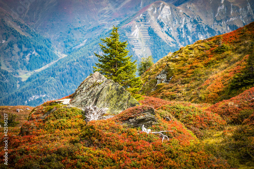 autumn in the austrian mountains, gastein valley, hofgastein, schlossalm, austria, salzburg