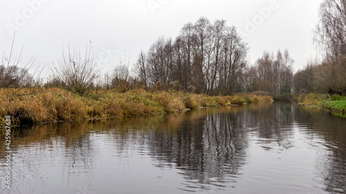 autumn landscape gray and cloudy day, river bank with bare trees and bushes, bank reflection in river water