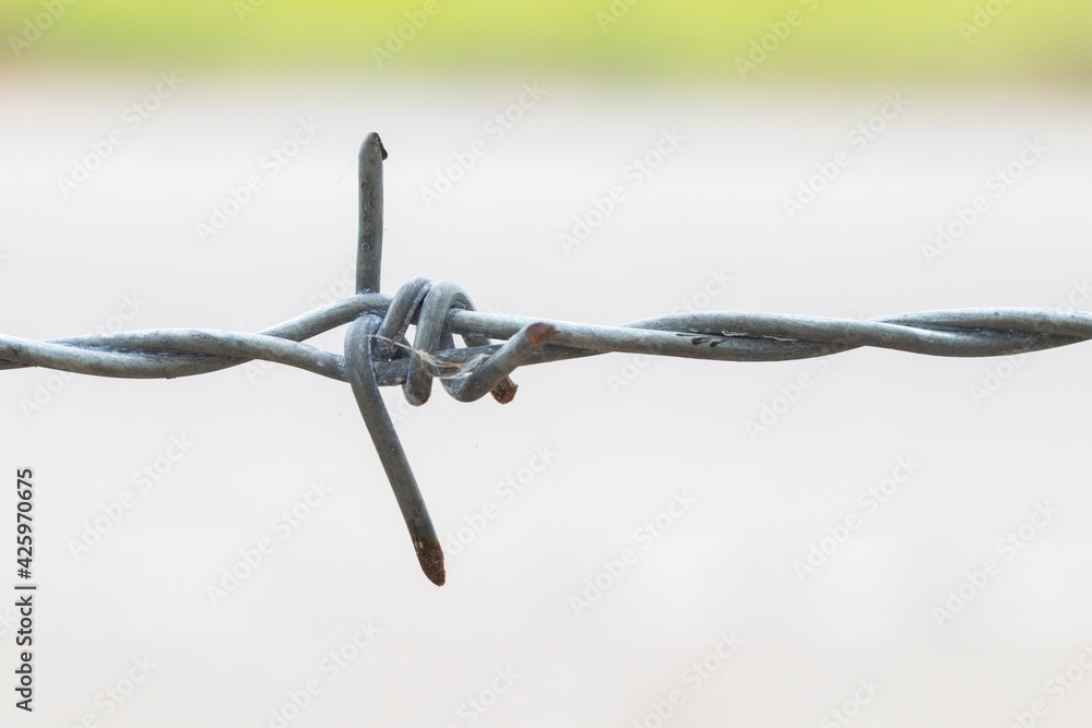 background textured barbed wire of fence for safe at home 