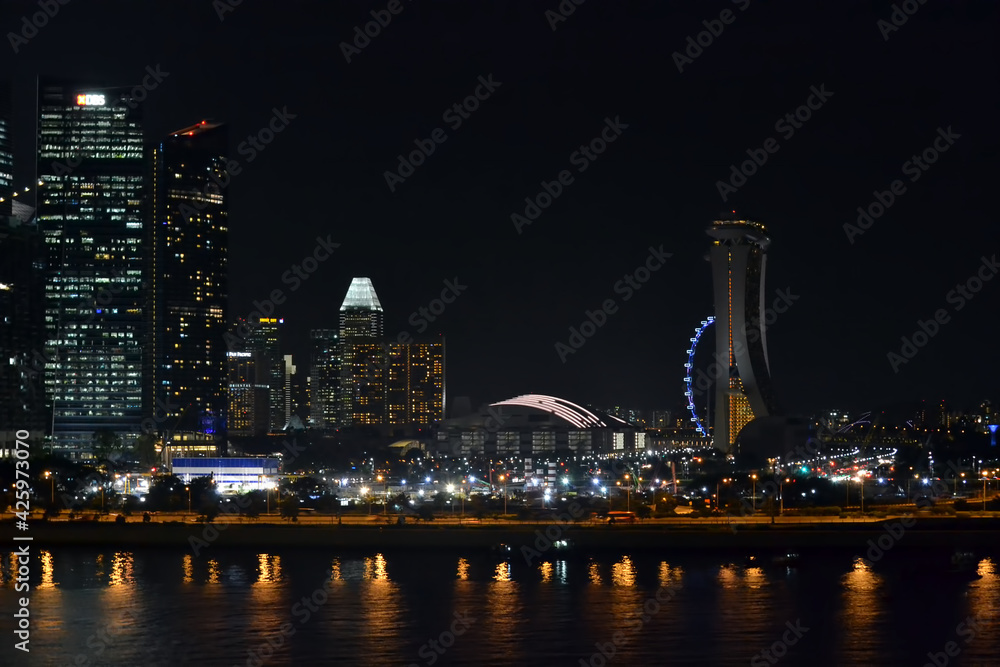 Fototapeta premium Tokyo skyline at night. Tokyo Waterfront Skyline at Night