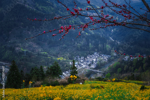 sunrise in a foggy morning at a small village in Shexian, Anhui, China. Peach blossom trees in foreground. photo