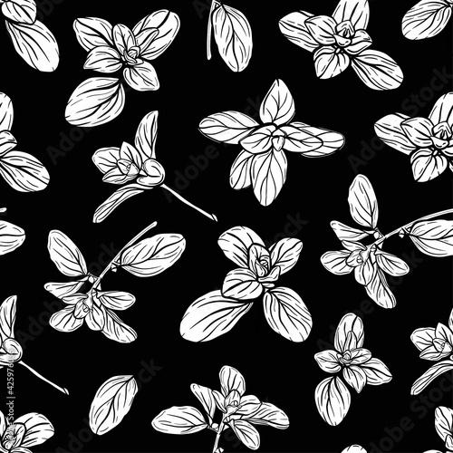  Basil Seamless Pattern. Italian herbs.A sprig of marjoram. Basil is a fragrant and fragrant seasoning. Hand-drawn illustration