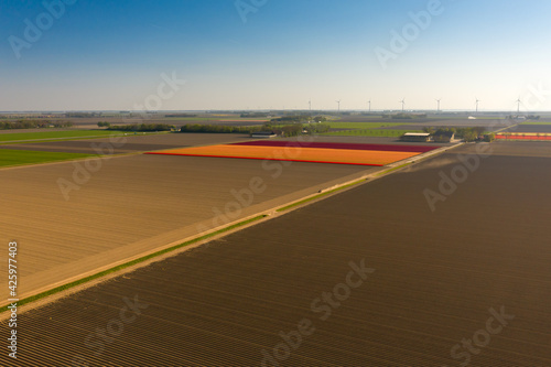 Agriculture fields in the Netherlands. Aerial view