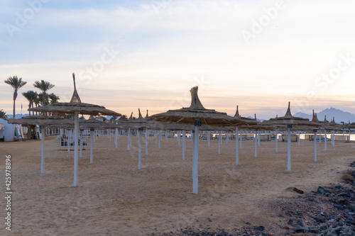 View at umbrellas with straw cover  empty sandy beach at sunset at egyptian resort  no people  idyllic and romantic view. 