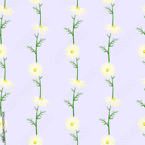 Delicate seamless pattern with white daisies on a blue background. Wildflowers