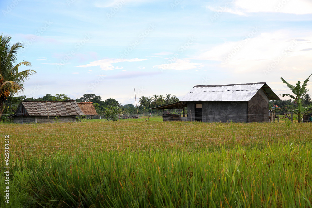 old barn in the countryside old barn in the countryside