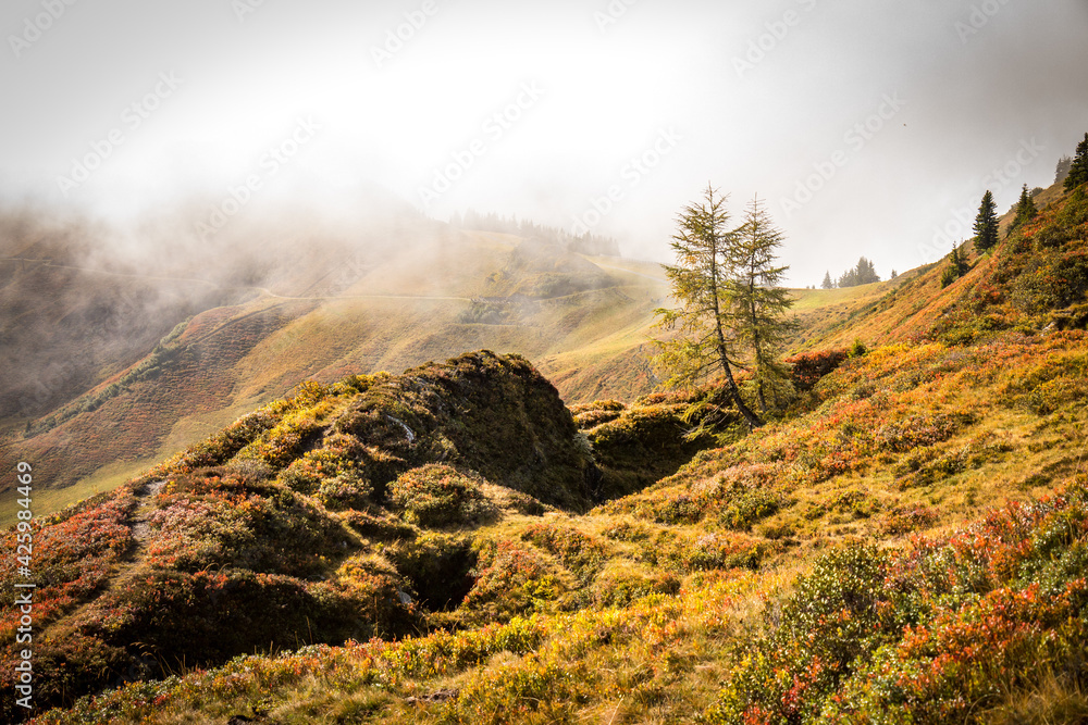 autumn in the mountains, alps, gastein valley, dorfgastein, fulseck, austria, hiking