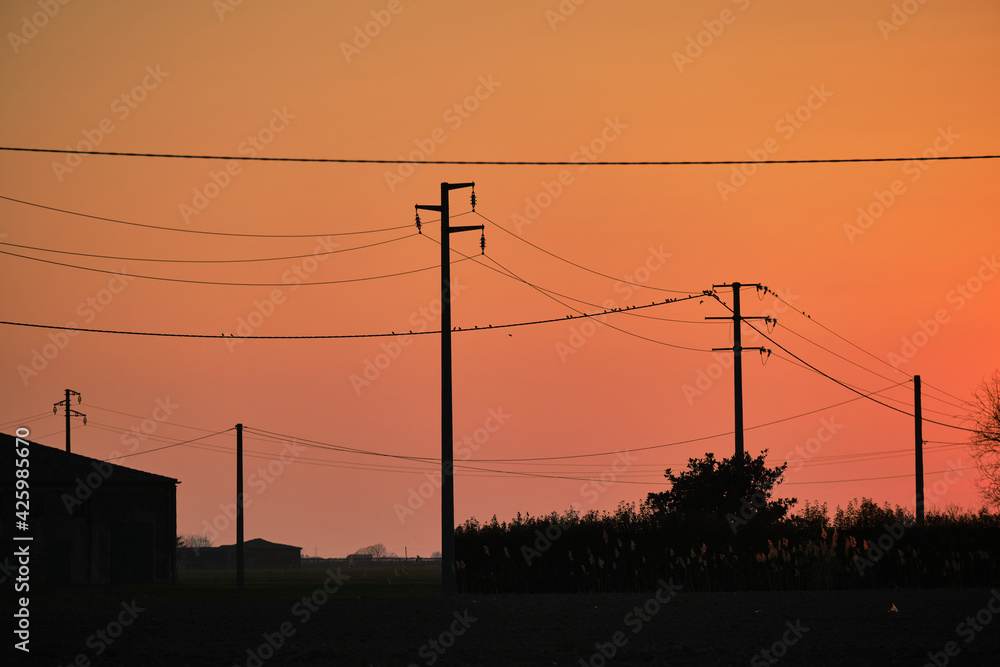 Scenic view of a beautiful and colorful sunset in the countryside of Ferrara