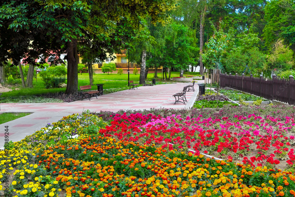 A colorful summer park