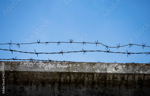 barbed wire against blue