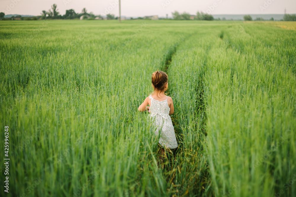 girl playing in the field. summer time. childhood. girl playing in the field. summer time. childhood.