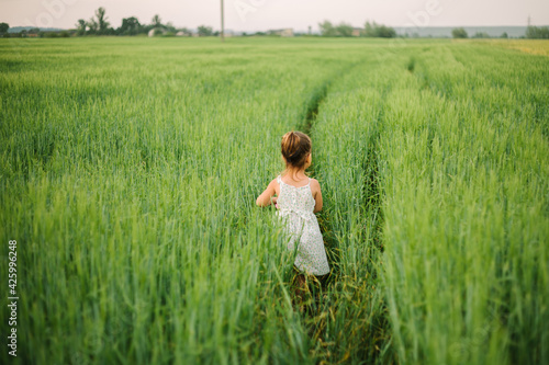 girl playing in the field. summer time. childhood.