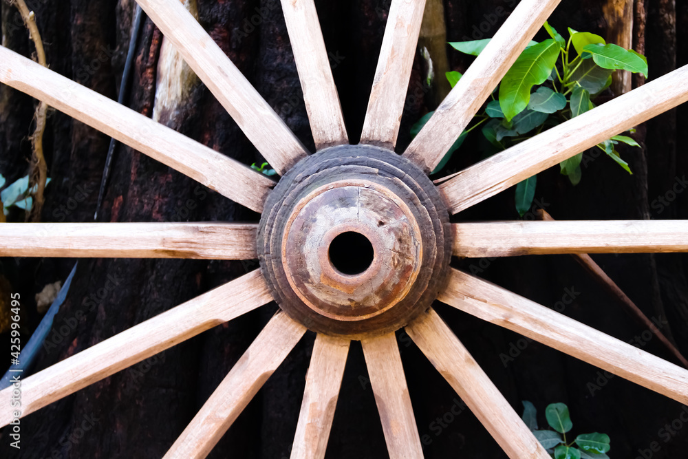 Old wooden wheel with green plant on background Old wooden wheel with green plant on background