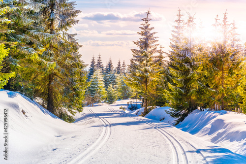 Photography Cross country skiing track in winter