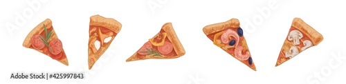 Set of different pizza slices or pieces with pepperoni, salami, mushrooms, ch...