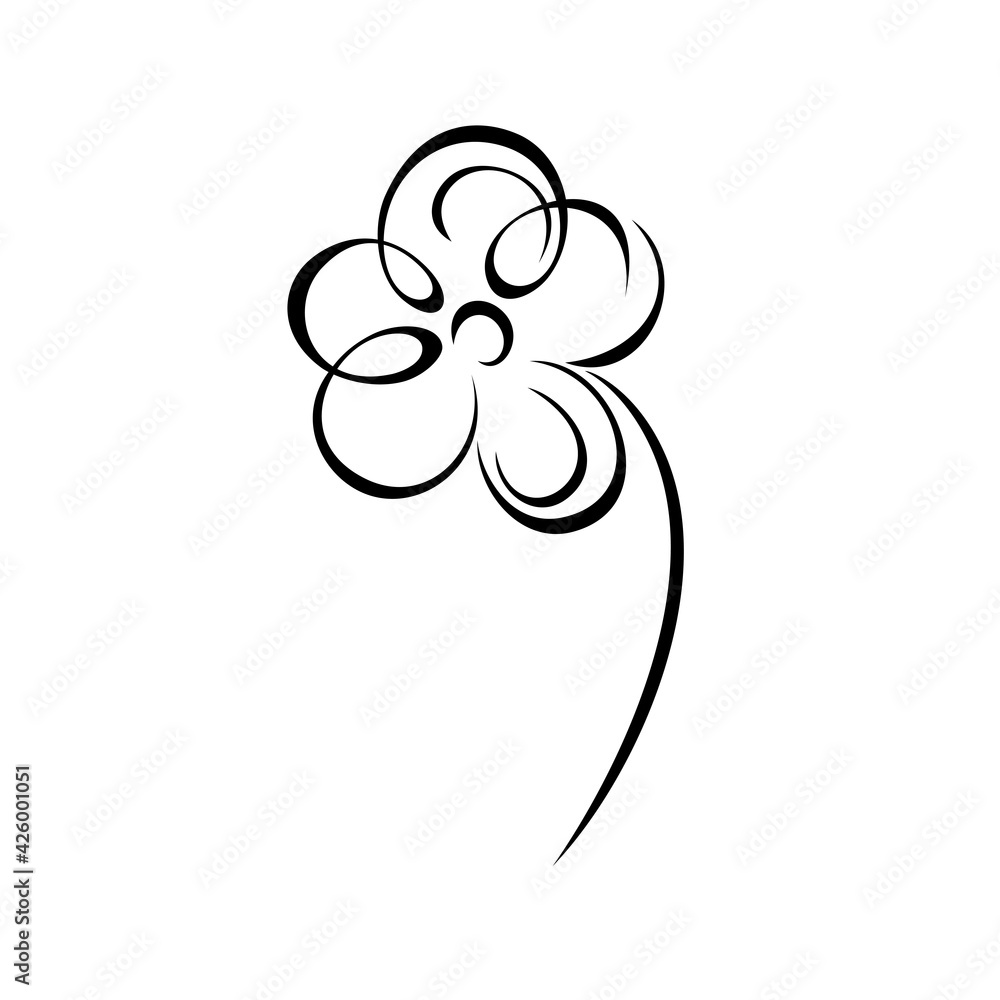Fototapeta premium one stylized blooming flower on a short stalk without leaves in black lines on a white background