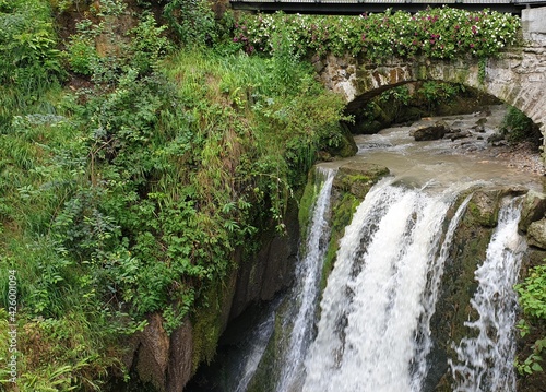 waterfall in the forest