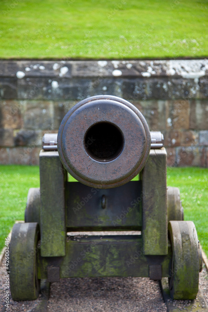 Cannon 