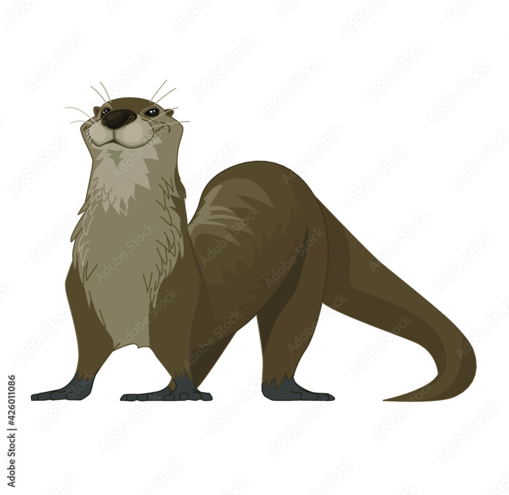 Otter Otter