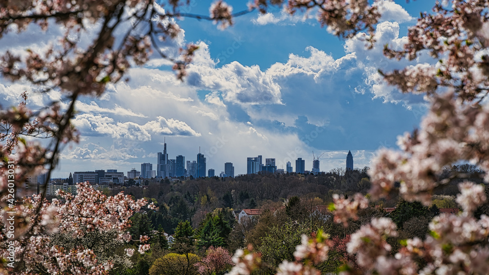 Frankfurt am Main Skyline im Frühling