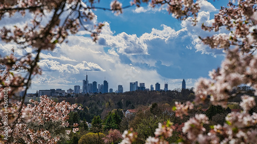 Obraz na płótnie Frankfurt am Main Skyline im Frühling w salonie