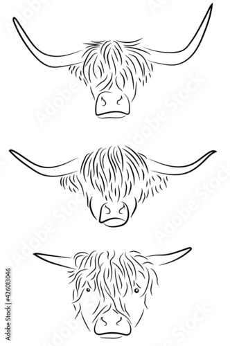 Galloway Schottisches Hochlandrind Rind Konturen Vektor Grafik Lineart