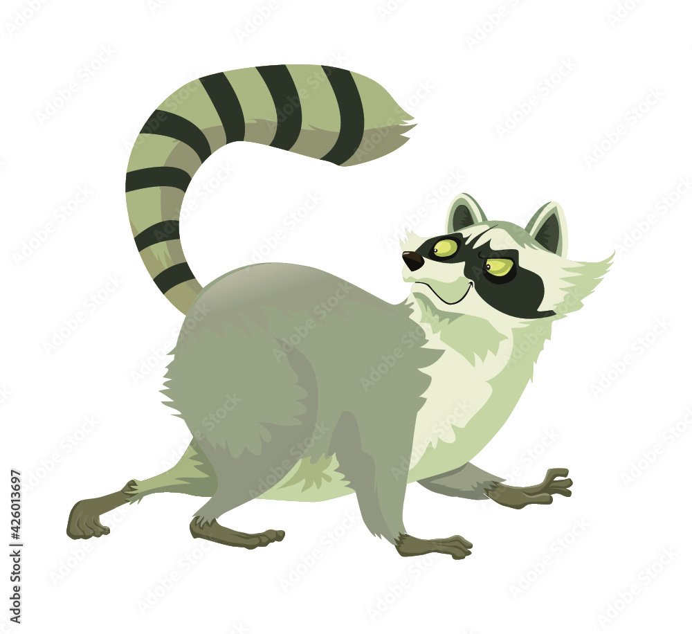 raccoon raccoon