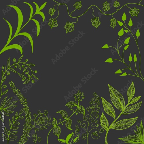 Bella cornice botanica con foglie e piante verdi 