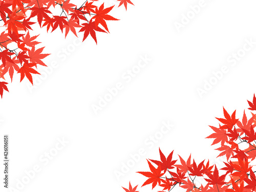 紅葉したモミジ　装飾・フレーム素材