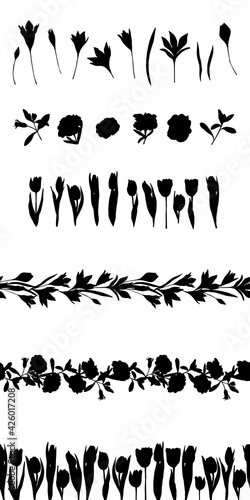 Vector set of botanical elements. Detailed black silhouettes of flowers, wild herbs and plants isolated on white background. Horizontal seamless border. Design for packaging, template, print, card.