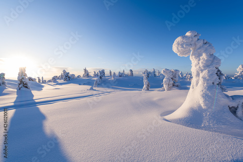 Xinjiang, China, the natural scenery in winter. Snow-covered forest, extremely cold environment.