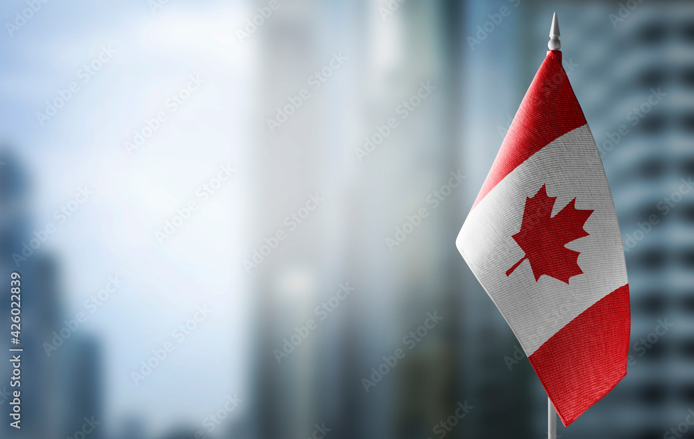 custom made wallpaper toronto digitalA small flag of Canada on the background of a blurred background