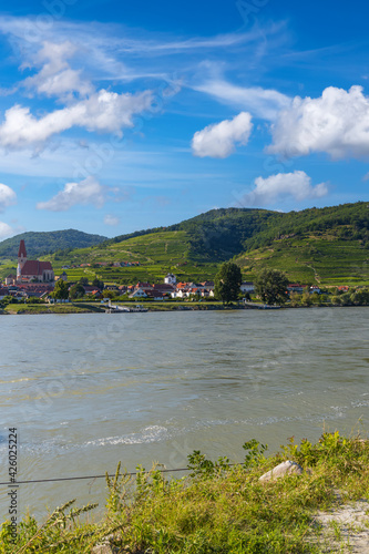 Wachau valley near Durnstein, UNESCO site, landscape with vineyards and Danube river, Austria