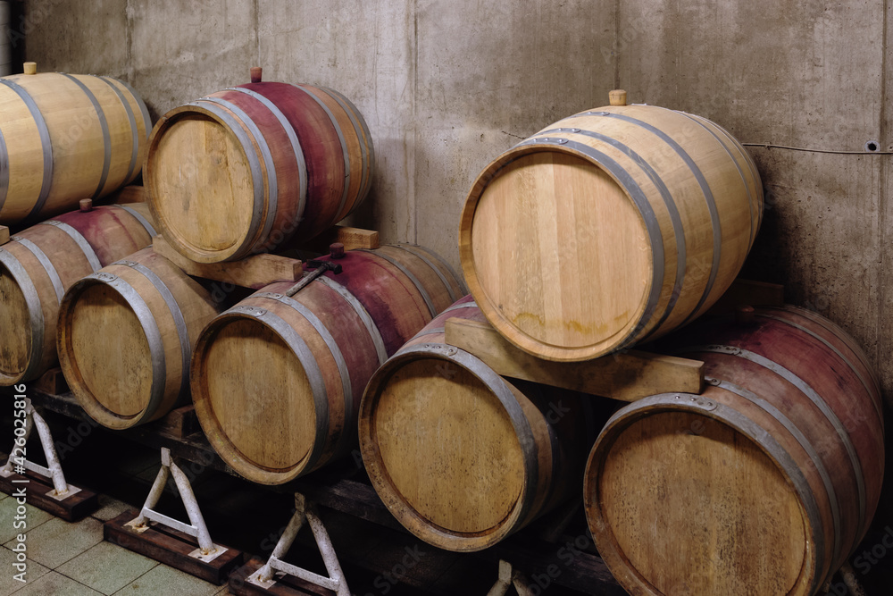 Wooden oak barrels in a winery nearby Batorove Kosihy, Slovakia