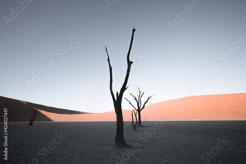 Sossusvlei, Namibia, a psychedelic and surreal landscape, this is the most photographed place in sub-Saharan Africa.