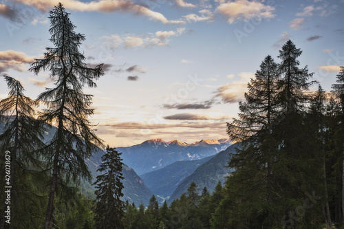 Beautiful view of mountains and forest during sunset
