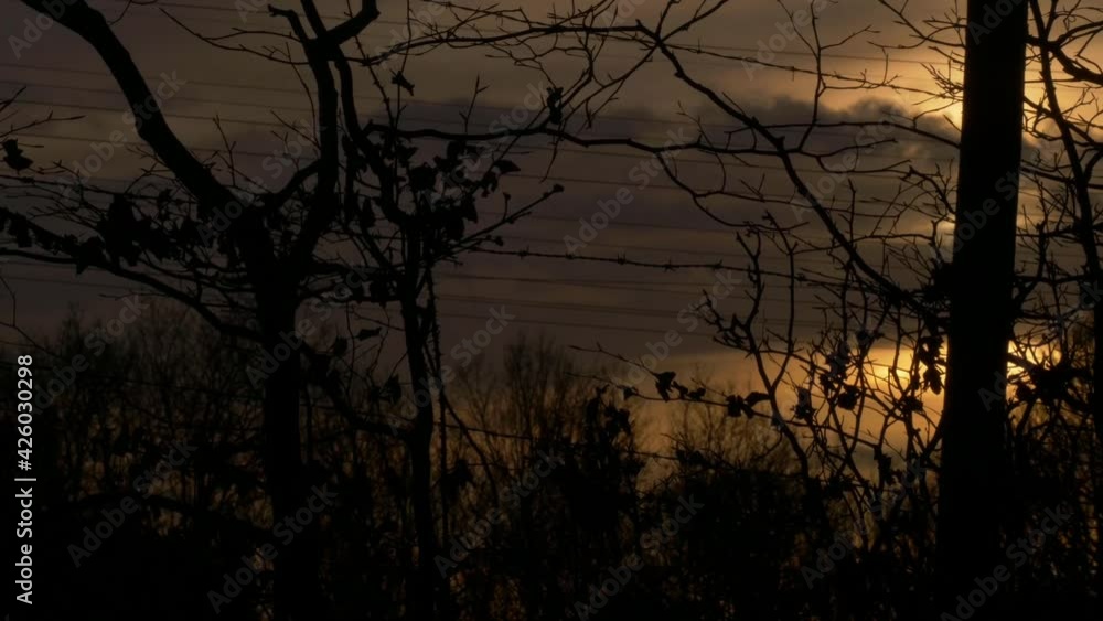 Time lapse of clouds at golden sunset through trees Time lapse of clouds at golden sunset through trees