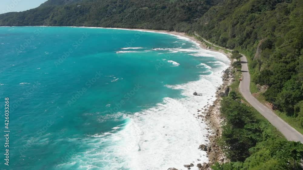 Palmeras, vegetación y aguas turquesas en localidad Paraíso de República Dominicana Palmeras, vegetación y aguas turquesas en localidad Paraíso de República Dominicana