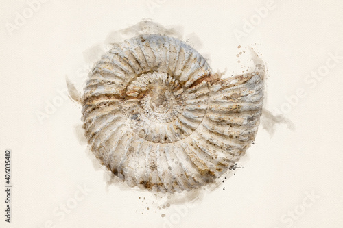 Ammonite Fossil. Jurassic ammonite. Fibonacci spiral. Watercolor Illustration.
