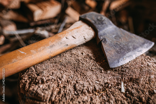 old Axe in tree stump, woodshed