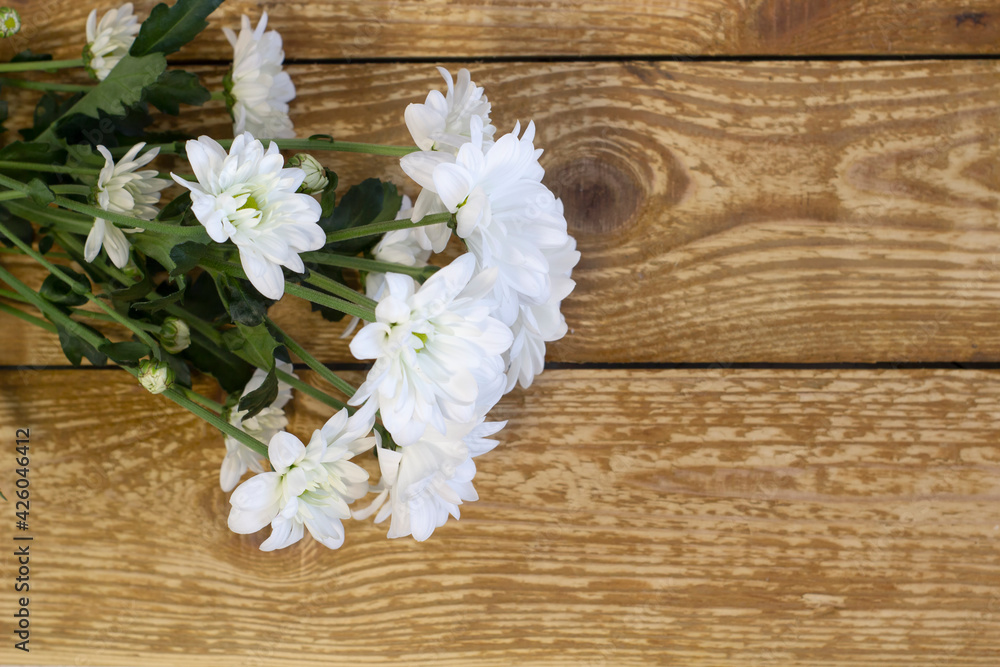 Naklejka premium Fresh beautiful white gerberas flowers daises on dark wooden background close up with copy space