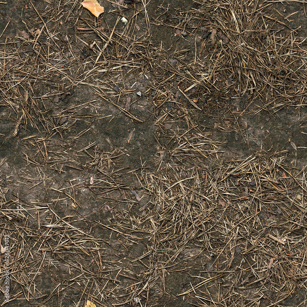 Seamless forest dirty ground texture Seamless forest dirty ground texture