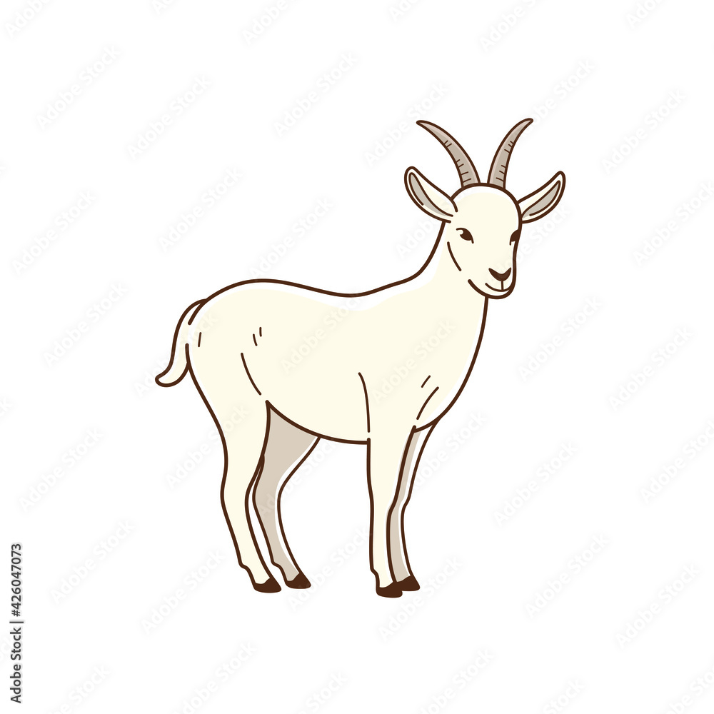 Illustration of goat. Simple flat vector illustration for emblem, badge, insignia.