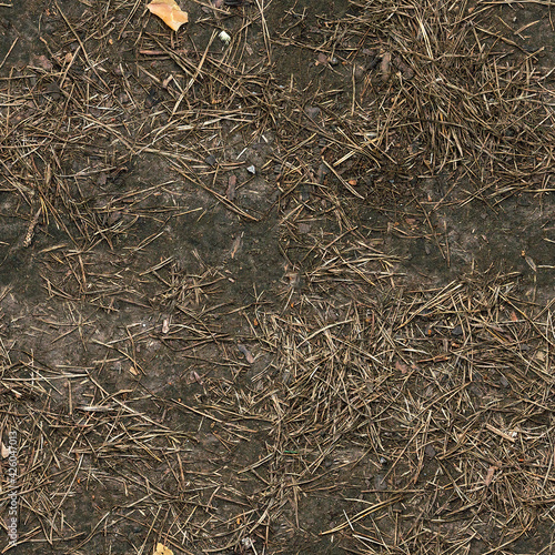 Seamless forest dirty ground texture
