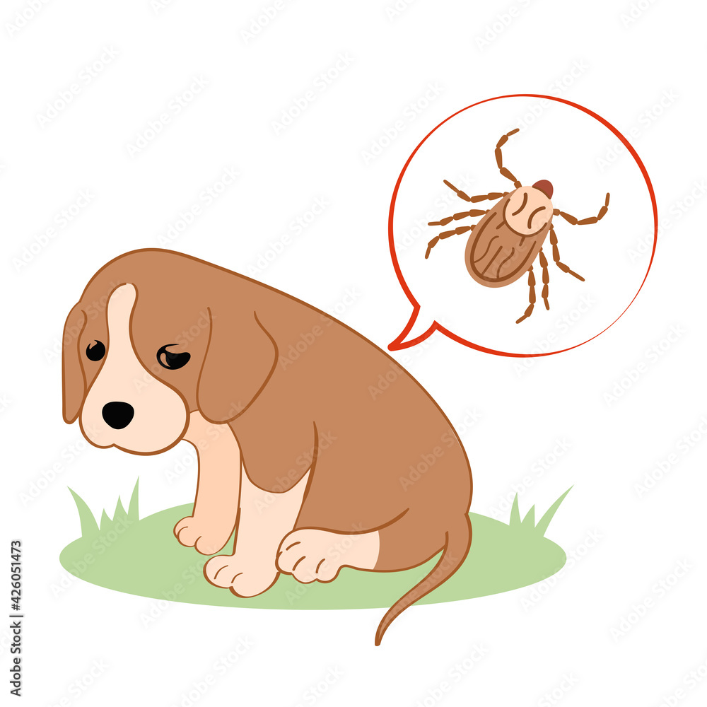 Vector illustration puppy dog feels bad from a tick bite. Tick season